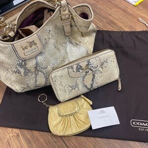 RARE Coach Snakeskin and Gold Shoulder Bag Set